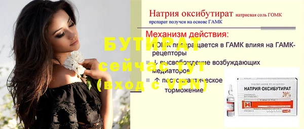 гидра Горняк