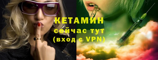 гидра Горняк