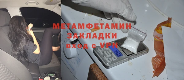 гидра Горняк