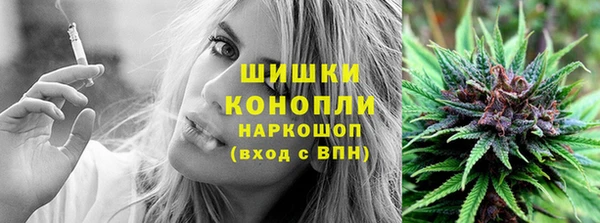 гидра Горняк