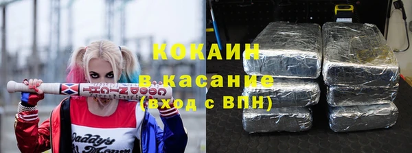 гидра Горняк