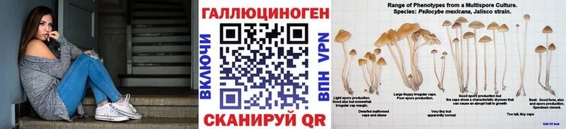 Галлюциногенные грибы прущие грибы  Невьянск 